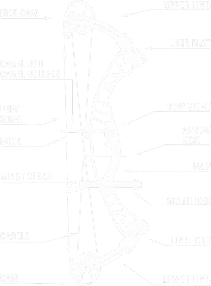 Compound Bow Anatomy Diagram