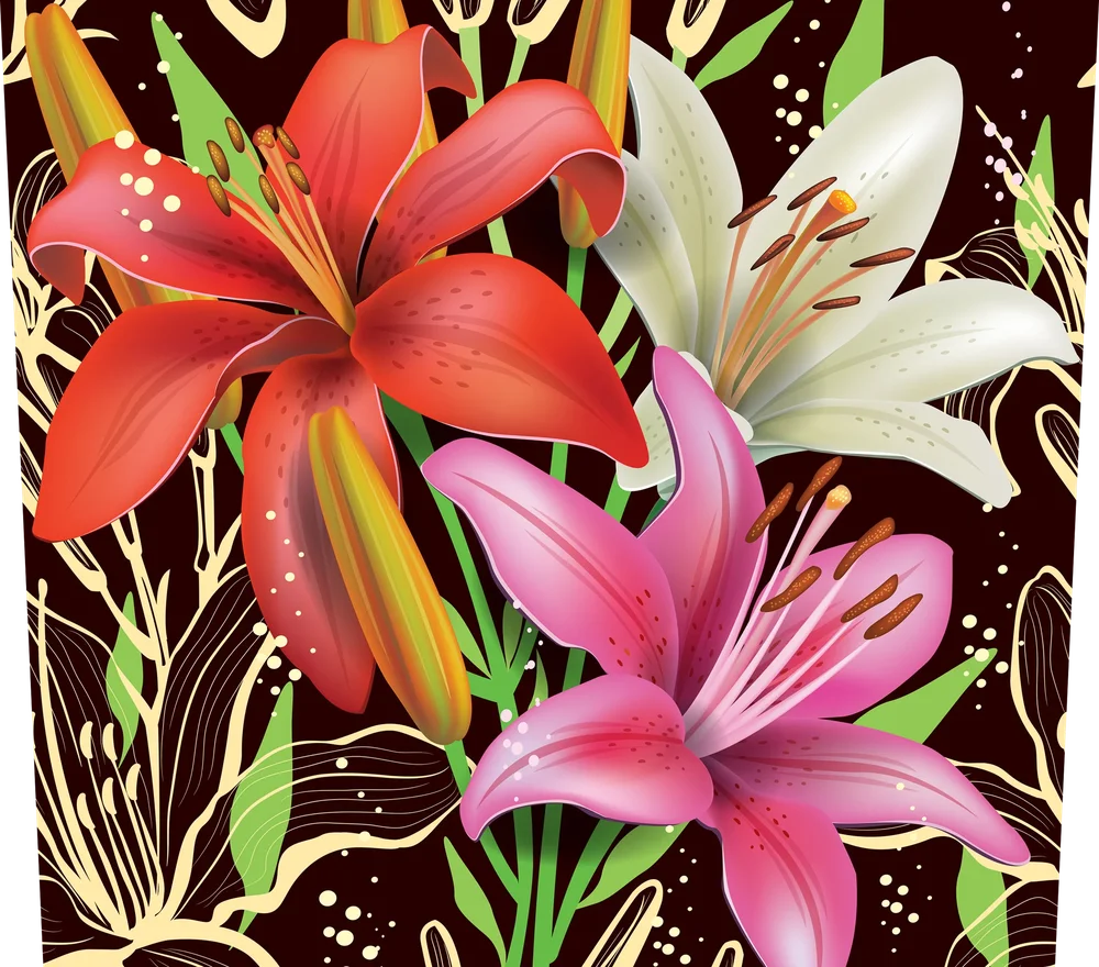 Vibrant Lily Flowers
