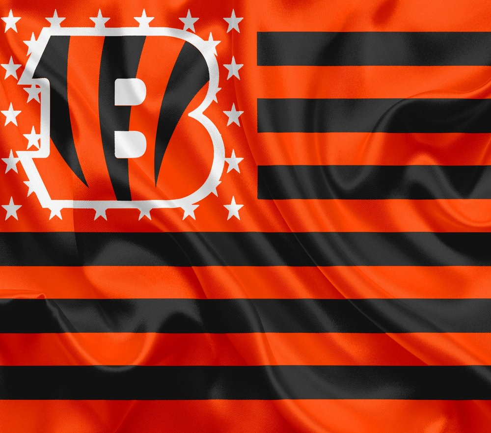 Cincinnati Bengals Flag Design
