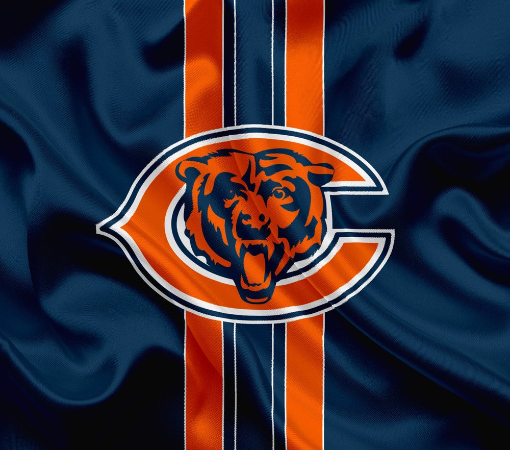 Chicago Bears Logo — Multicolor Minimal