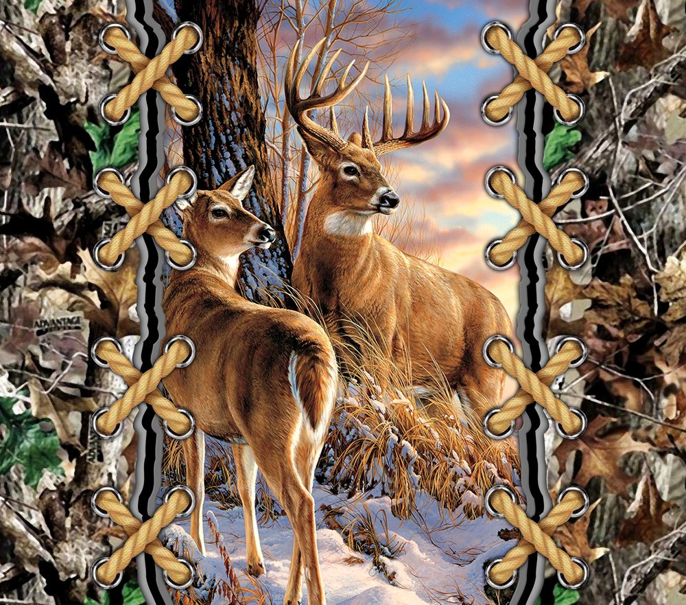 Whitetail Deer Winter