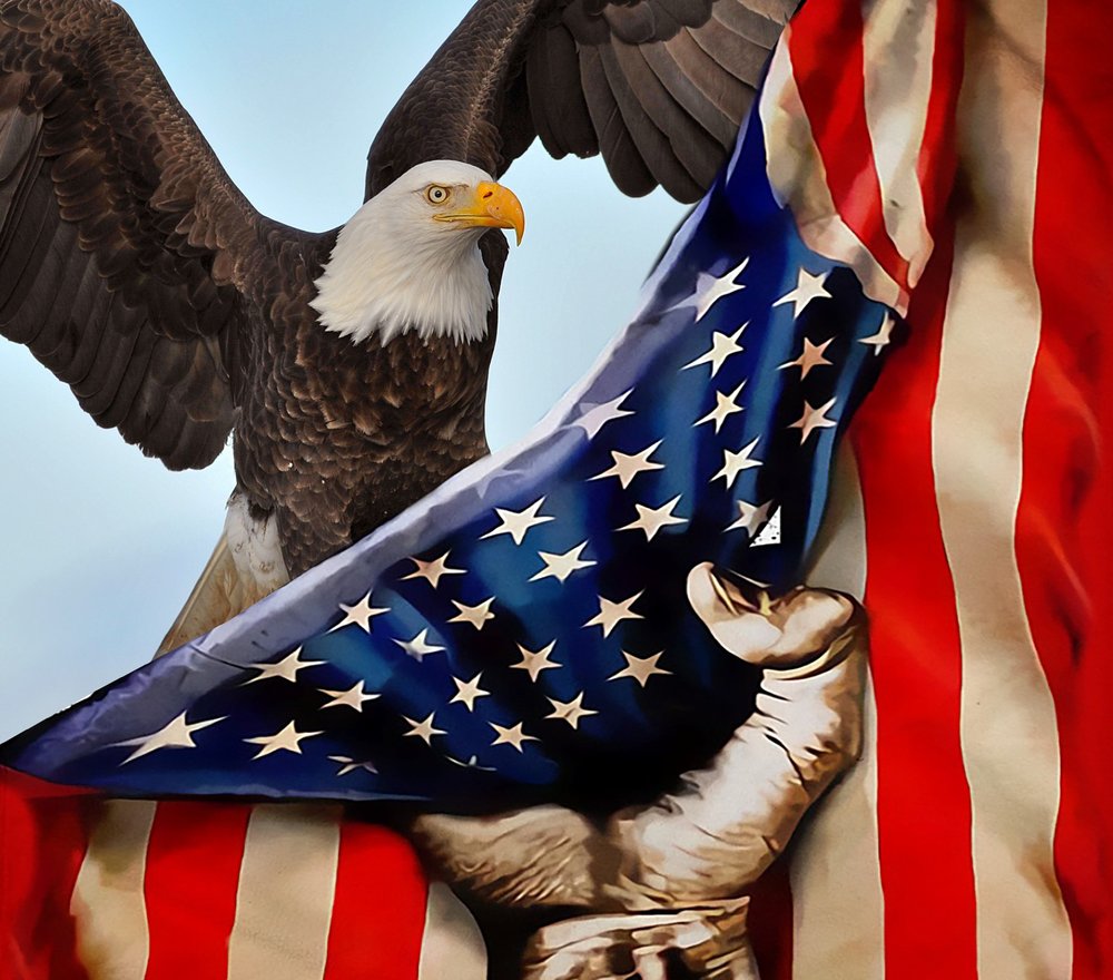 Patriotic Bald Eagle American Flag