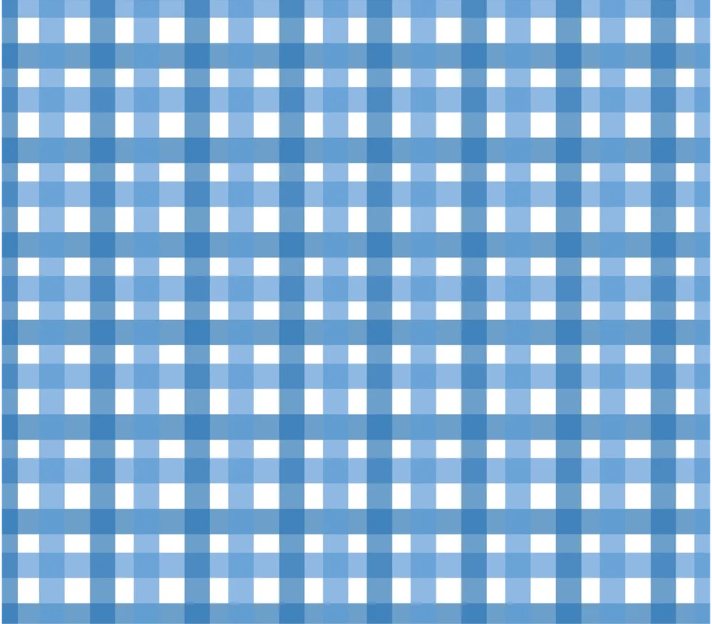 Blue And White Gingham Pattern