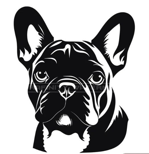 French-Bulldog