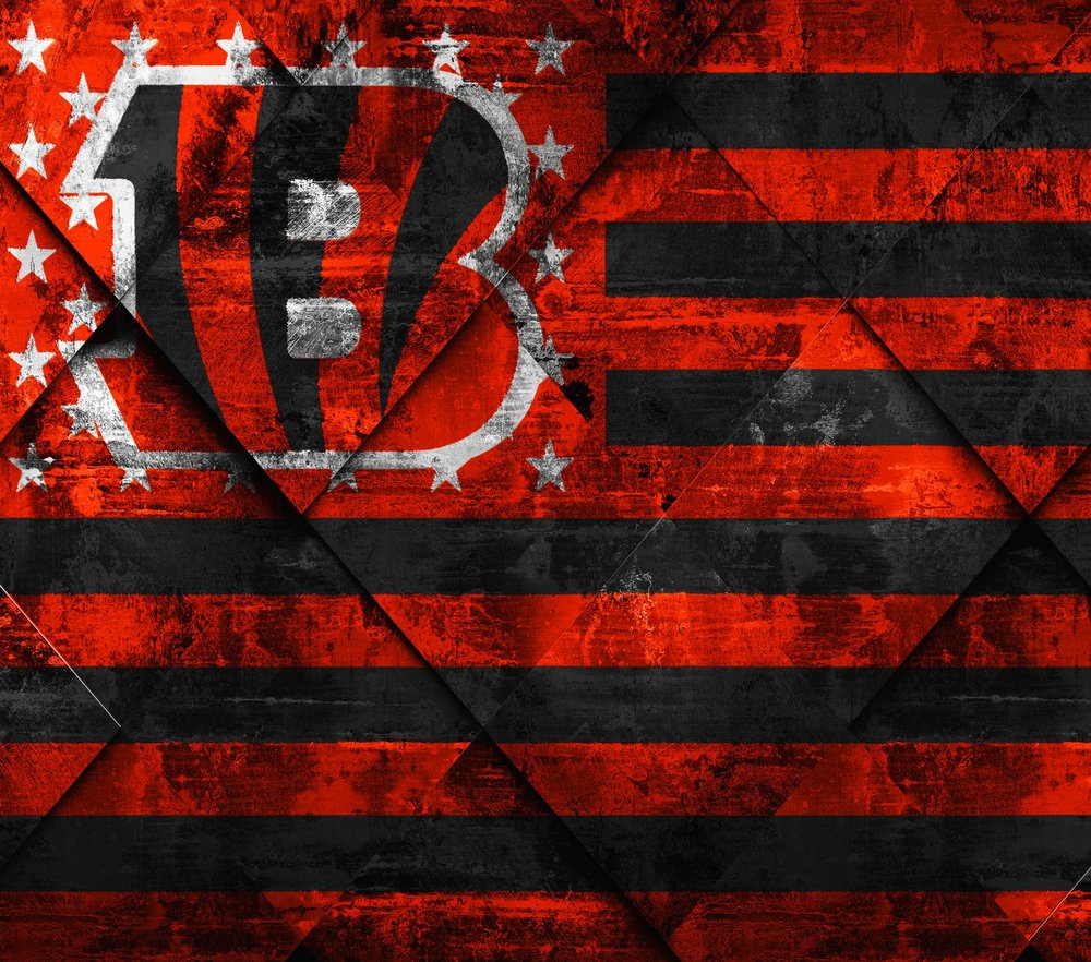 Cincinnati Bengals Distressed Flag