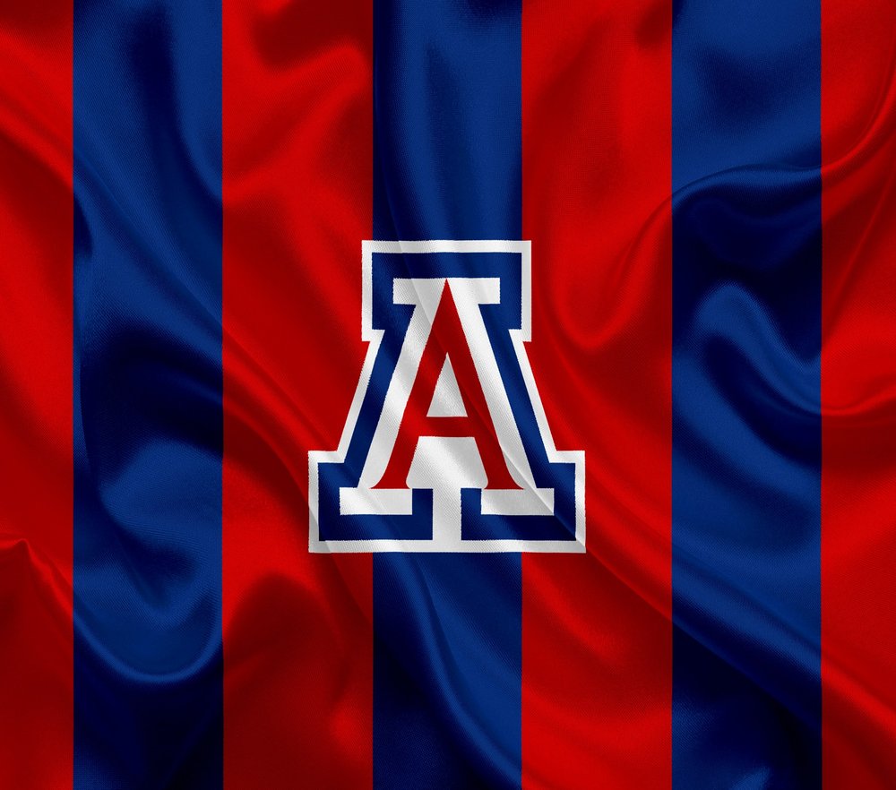 Arizona Wildcats Striped