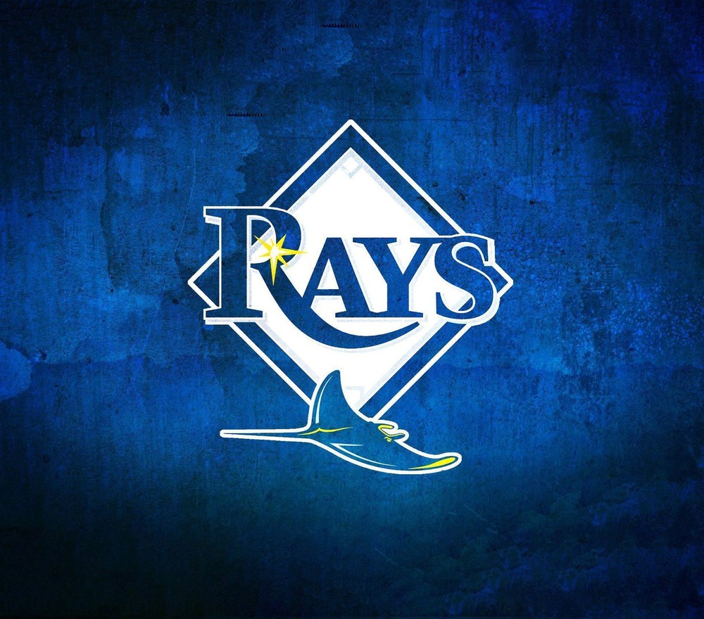 Tampa Bay Rays Logo — Multicolor Sports