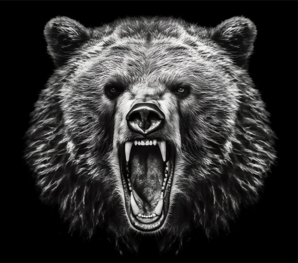 Aggressive Bear Head Portrait
