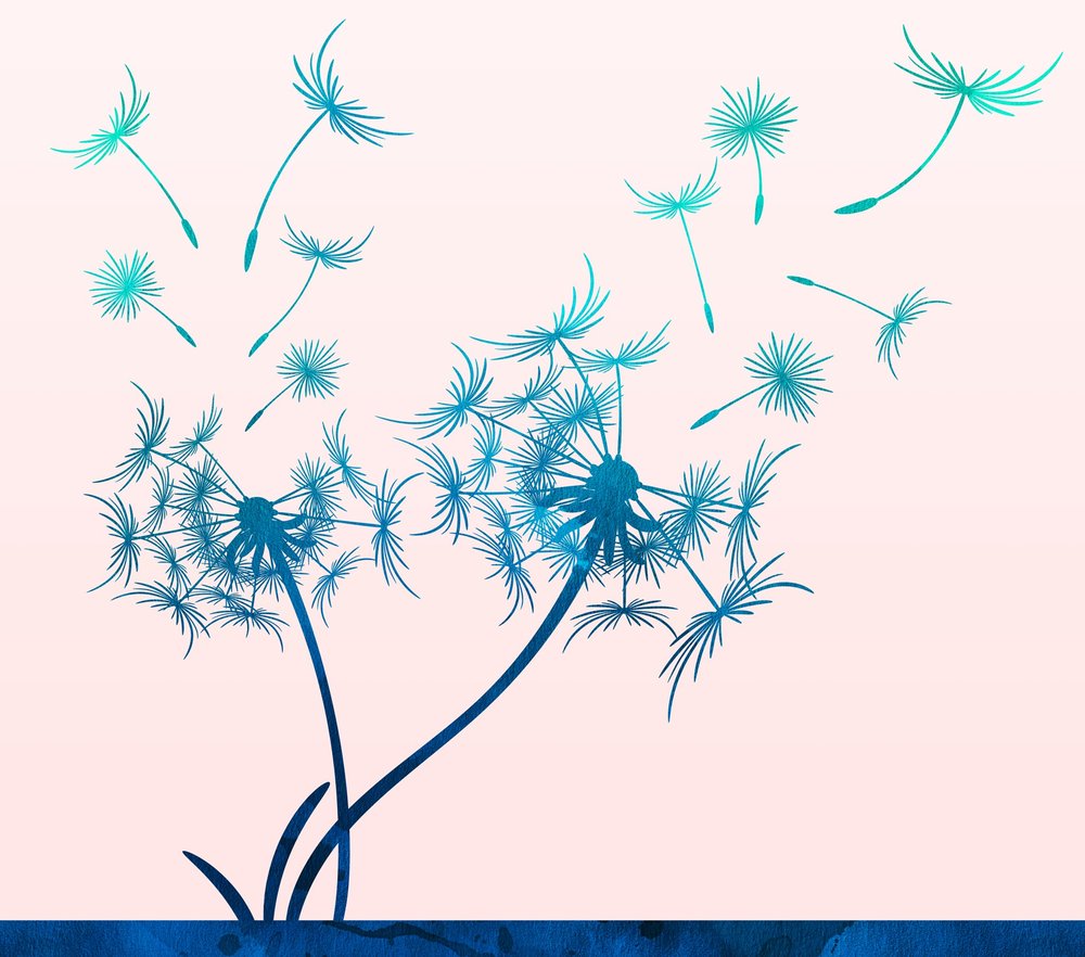 Dandelion Wish