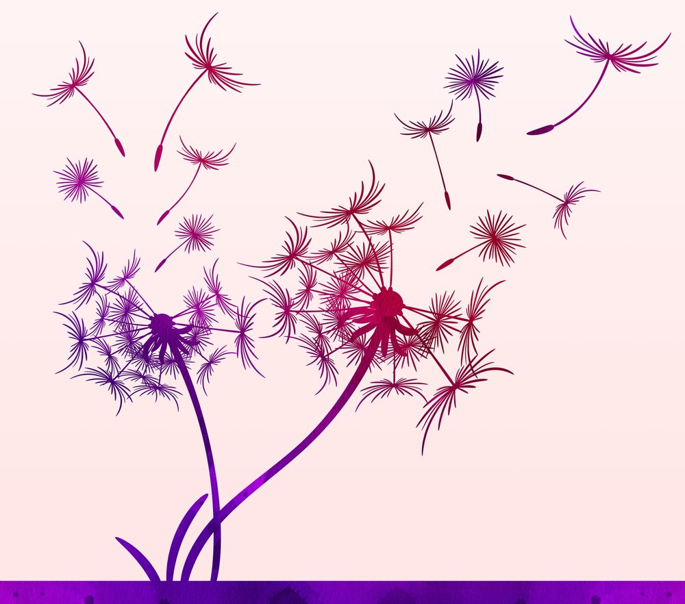 Purple Dandelion Wishes