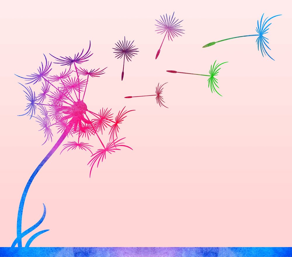 Colorful Dandelion Wishes Spread
