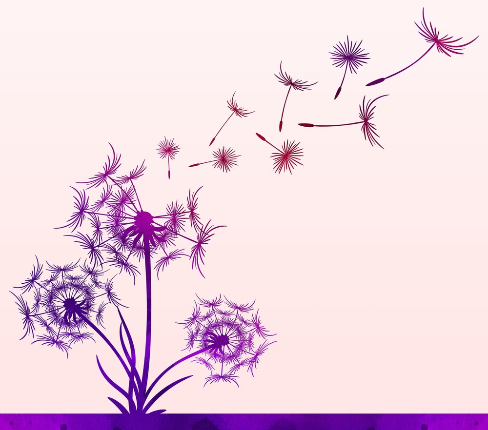 Dandelion Wishes