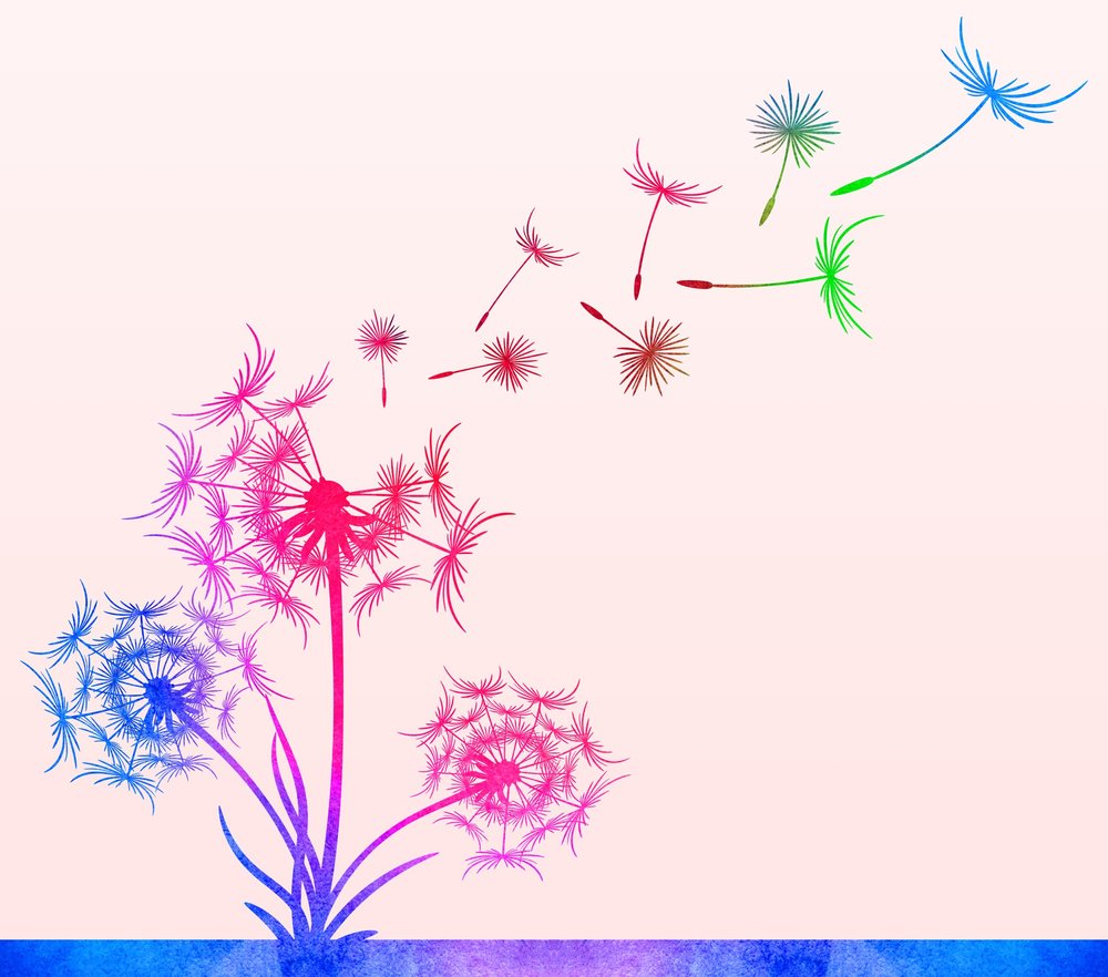 Colorful Dandelion Wishes