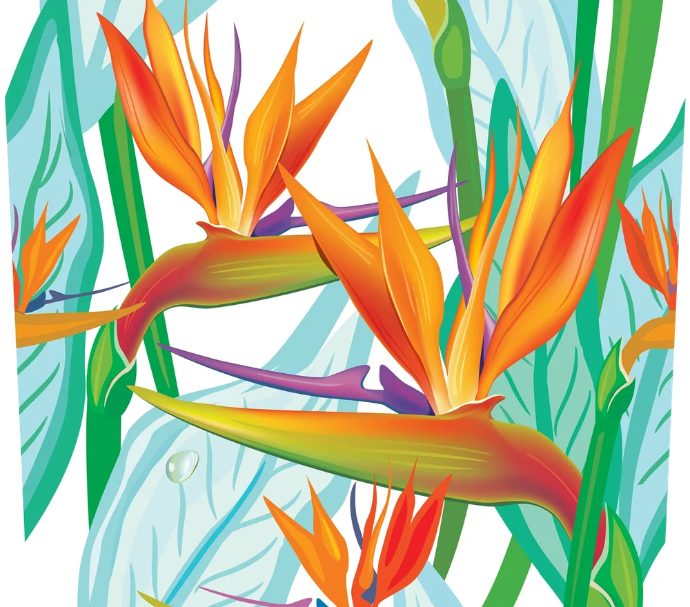 Tropical Bird of Paradise Floral