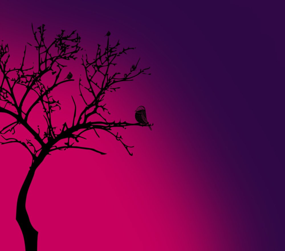 Bird on Bare Tree Silhouette