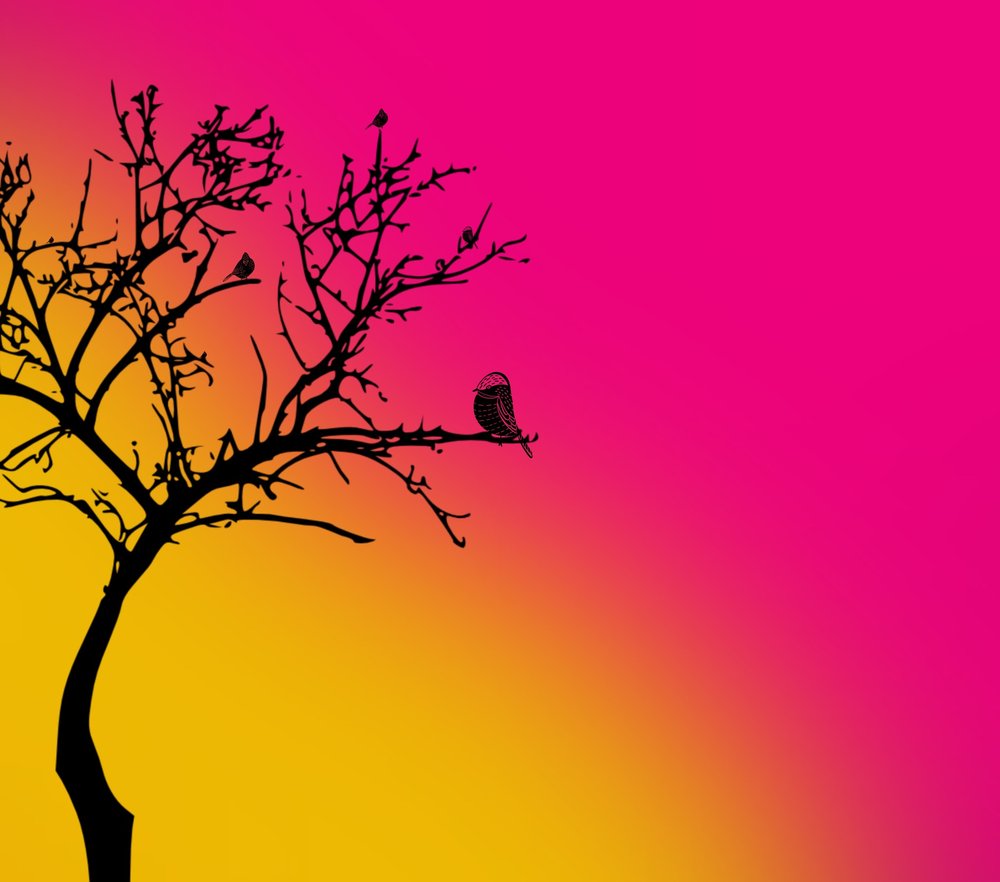 Bird On Sunset Tree Silhouette