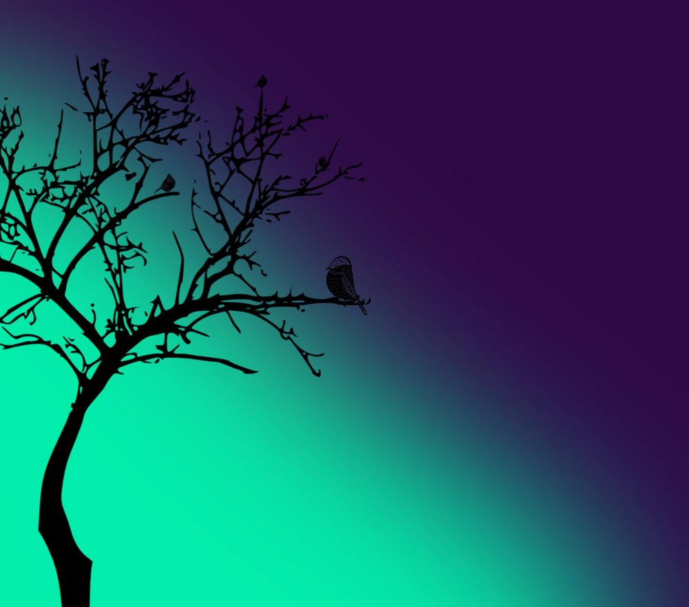 Bird on Branch Silhouette