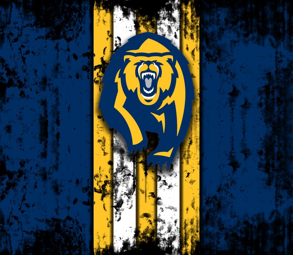 Berkeley Bears Distressed Logo