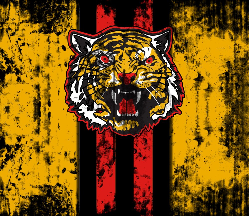 Distressed Tiger Head Sports Logo