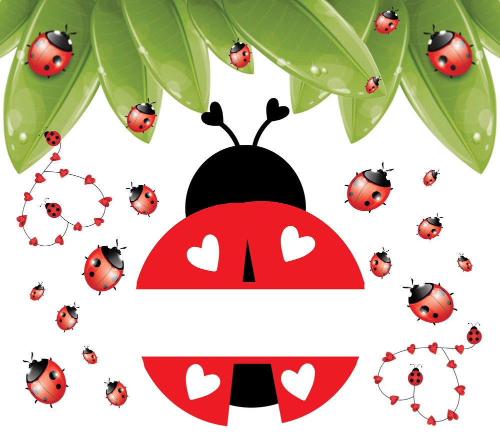 Lady-Bug-Collection