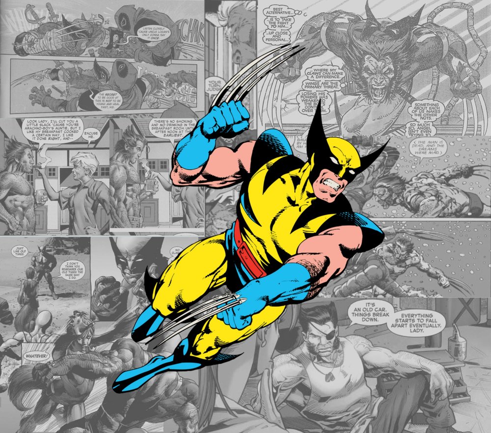 Wolverine Comic Panel Mashup