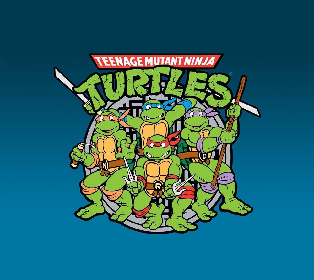 Teenage Mutant Ninja Turtles Group