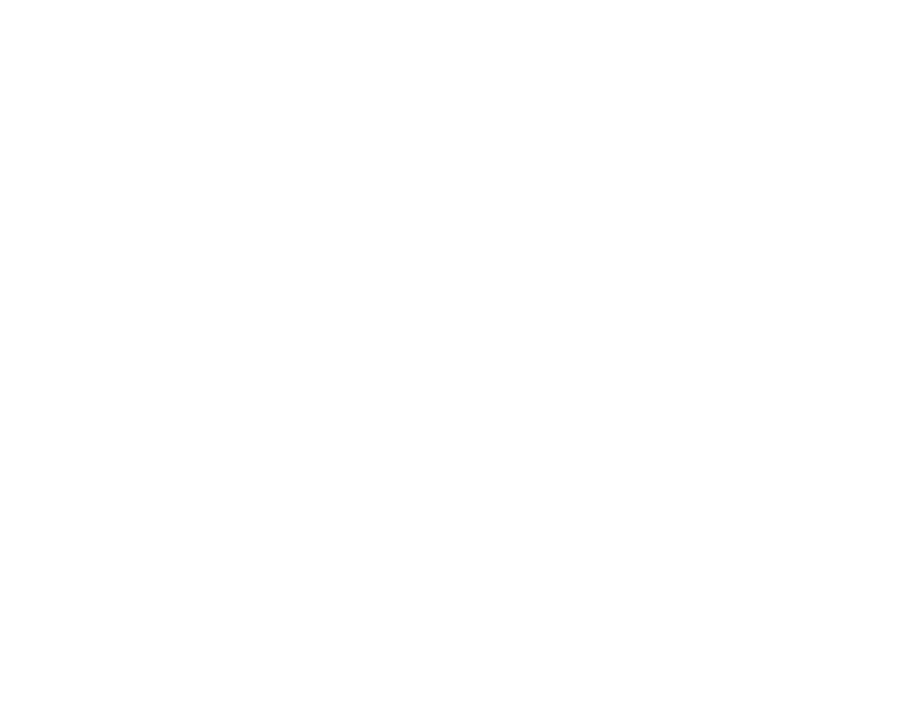 Ornate Elephant Line Art