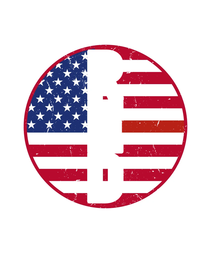 American Flag with Eagle Silhouette