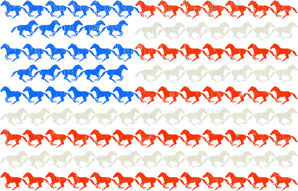 American Flag Horse Pattern