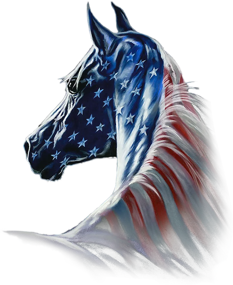 American Flag Horse Portrait — Multicolor Vintage Patriotic