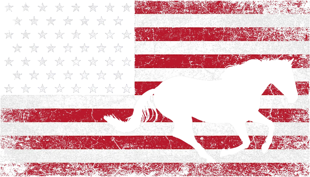 American Flag Horse Silhouette — Multicolor Vintage