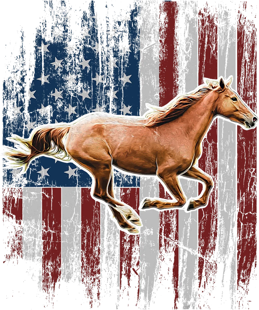 American Flag Horseback Riding — Multicolor Vintage