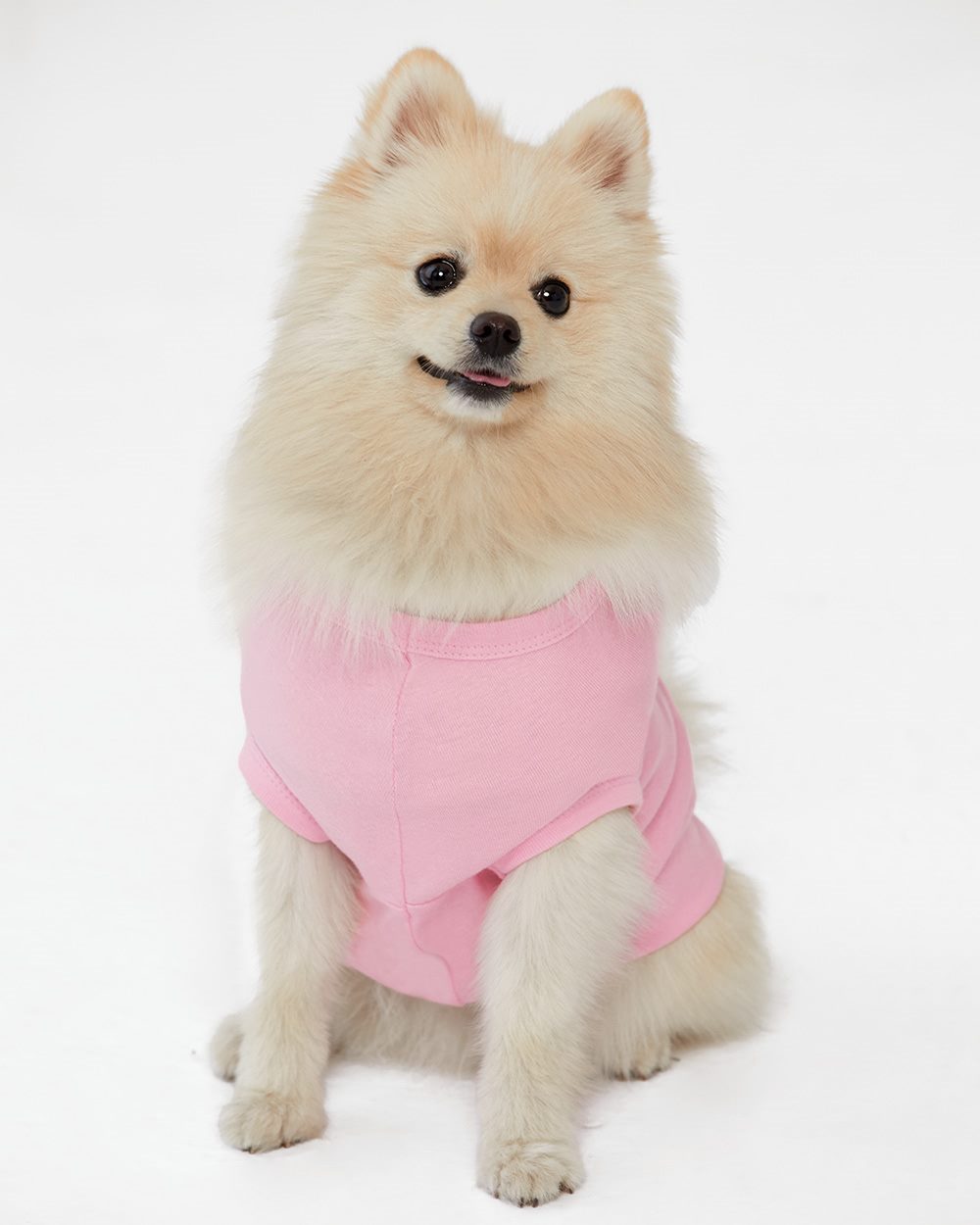 Doggie Tank